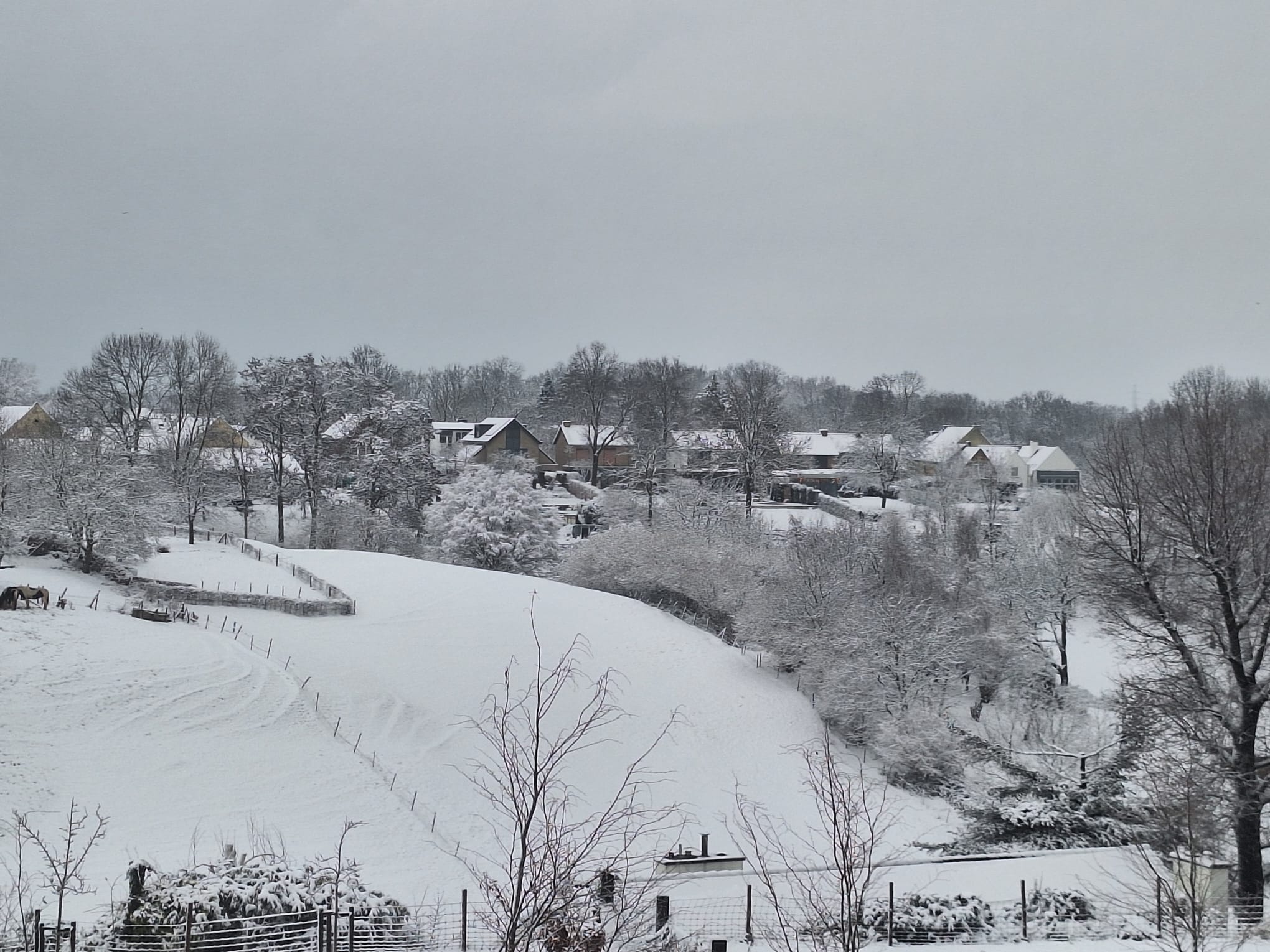 Eindejaarstocht Wandelvereniging Vilt